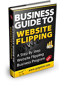 Business Guide to Website Flipping